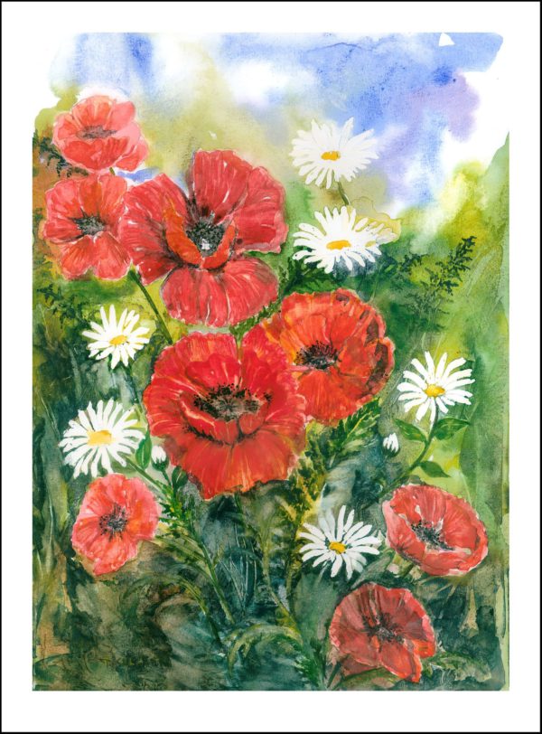 Poppies & Daisies - Trudi Killeen