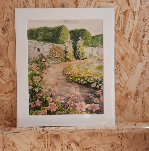 Anenomes - Trudi Killeen