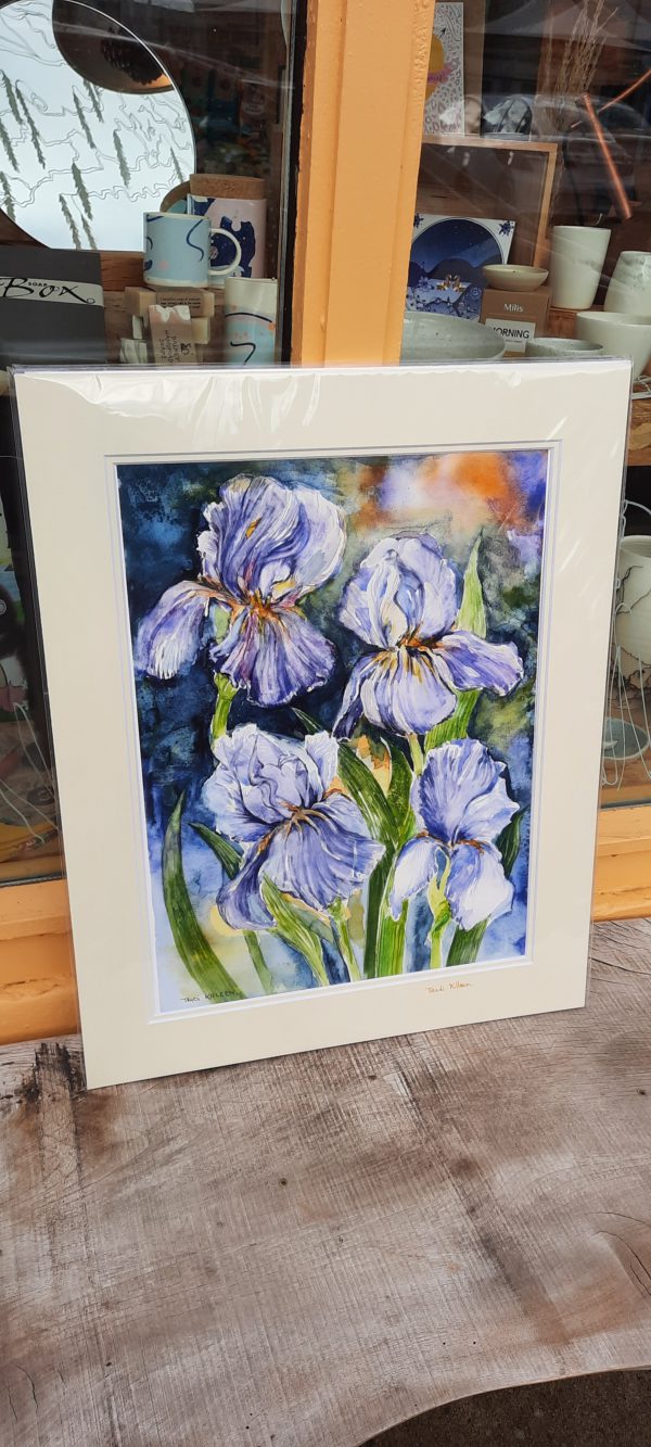 Irises - Trudi Killeen