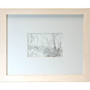 Abbeyleix Bog in Pen - Alison McEvoy