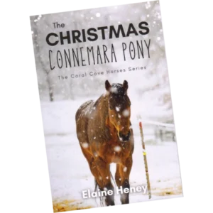 The Christmas Connemara Pony - Elaine Heney