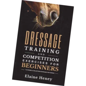 Dressage Training and Competition - Elaine Heney