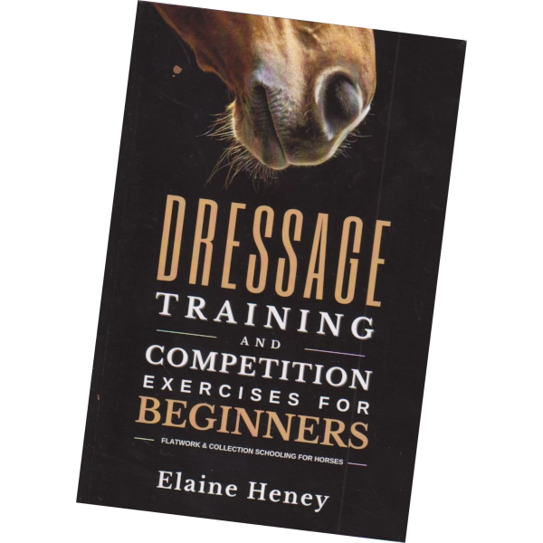 Dressage Training and Competition - Elaine Heney
