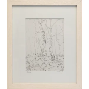 Birches - Alison McEvoy