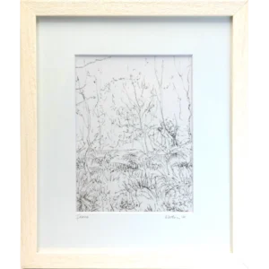 Ferns - Alison McEvoy