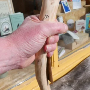 Pilgrim Staff Walking Stick