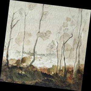 Abbeyleix Bog Trees - Greeting Card