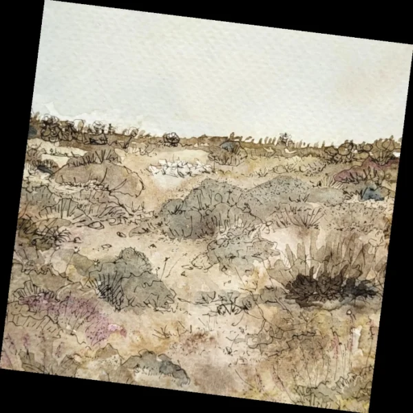 Meadow III - Greeting Card