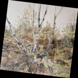 Rattlin' Bog - Greeting Card