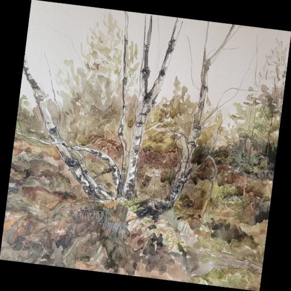 Rattlin' Bog - Greeting Card