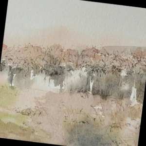 Undergrowth- Greeting Card