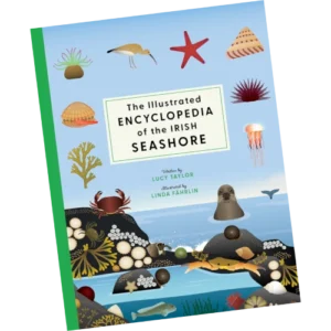 The Illustrated Encyclopedia of the Irish Seashore - Lucy Taylor Illustrated by Linda Fährlin