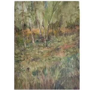 Stand of Birches- Alison McEvoy