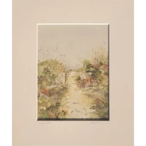 Sandy Path- Alison McEvoy