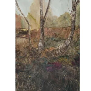 Gnarly Birch - Alison McEvoy