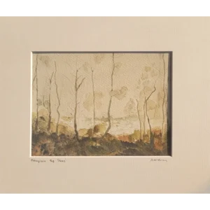 Abbeyleix Bog Trees- Alison McEvoy