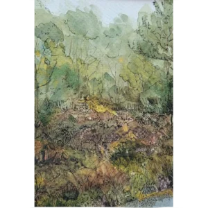 Pathway I- Alison McEvoy