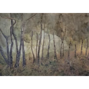 Haze of Ferns- Alison McEvoy