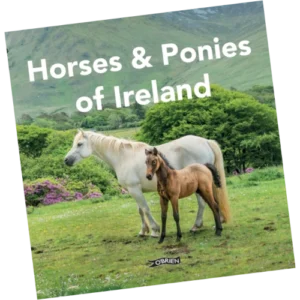 Horses & Ponies of Ireland
