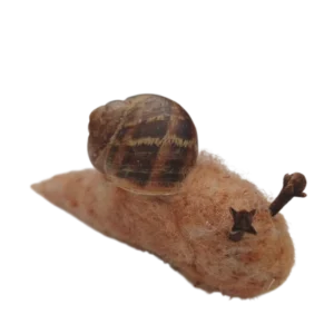 Needle Felted Snail Magnet